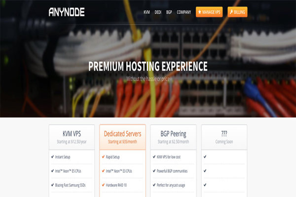 #补货# AnyNode - $12/年 KVM 1核 256M 10G 500G 1Gbps 洛杉矶